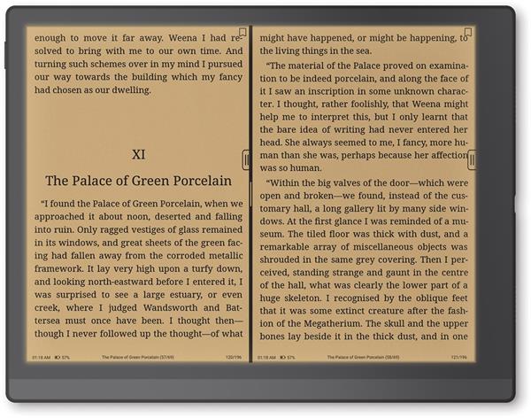 eBookReader Onyx BOOX Go 10 3 Gen II natlys